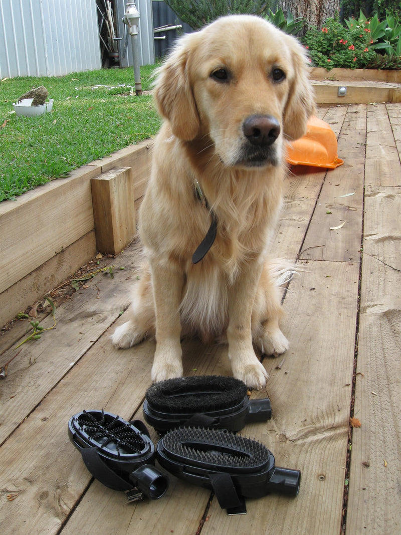 Nilfisk-Alto Animal Spiked Vacuum Cleaner Curry Comb For Long Animal Hair