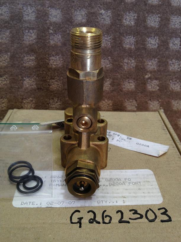 Gerni Brass Pump Manifold For Gerni G200A Tradesman Electric Pressure Washer - TVD The Vacuum Doctor